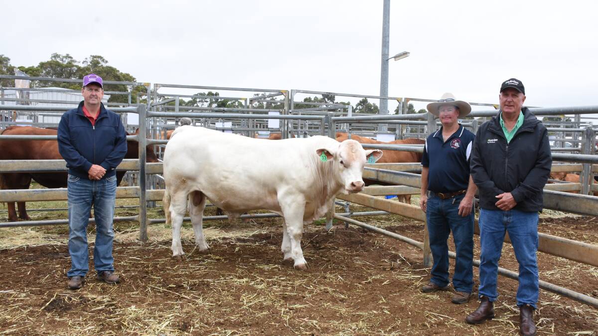 With the $10,000 top-priced Charolais bull, Quicksilver Trigger T20E (AI) (P) from the Quicksilver stud, Newdegate, were buyer Kevin Yost (left), Liberty stud, Toodyay, Quicksilver co-principal Doug Giles and Nutrien Livestock Great Southern manager Bob Pumphrey.
