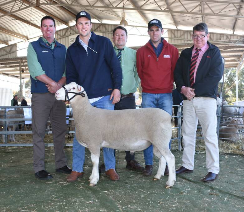 The $15,500 top-priced British and Australasian breed ram for 2019 was this White Suffolk ram sold by the Yonga Downs stud, Gnowangeup, at the WA Elite White Suffolk and Suffolk Sale at Williams in August. With the ram were Landmark auctioneer Mark Warren (left), Yonga Downs principal Brenton Addis, Landmark Breeding representative Roy Addis, buyer Shane Baker, Booloola stud, Baringhup, Victoria and Elders prime lamb specialist Michael O'Neill.