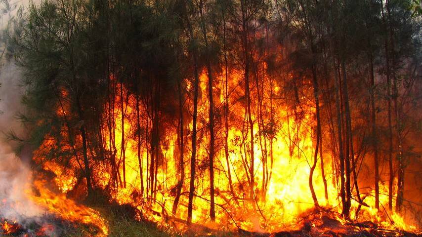 Send bushfire donations only to licensed charities