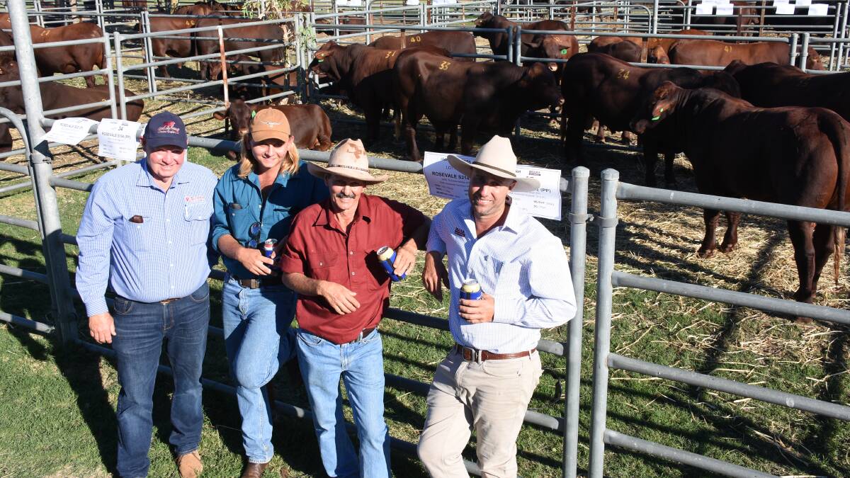 The Parsons family, Coolawanyah station, Tom Price, who have been using Santa Gertrudis bulls for 50 years, were an influential buyer in the sale purchasing 12 Biara bulls for an average of $6792 and a Wendalla bull for $7000. Discussing the family's purchases after the sale were Santa Gertrudis Breeders` (Australia) Association general manager Chris Todd (left), Kris and Kim Parsons and Biara co-principal and WA Santa Gertrudis Cattlemens Association chairman Glenn Hasleby.