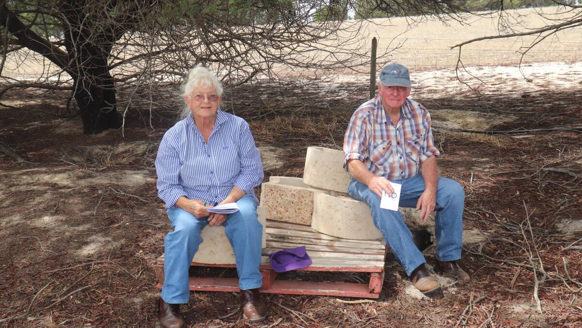  Dia (left) and Michael Buckingham, Munglinup, took a break in the shade from inspecting the lots before the sale.