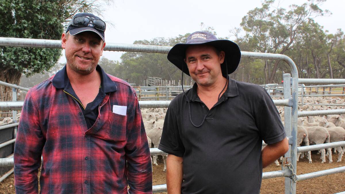 Inspecting the sheep at the Sounness clearing sale were Brad Murphy (left), Manjumup and Glenn Kirk, McAlinden.