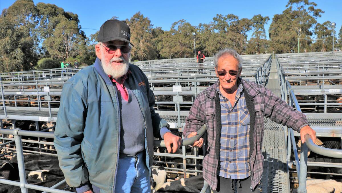 Harvey cattlemen were well represented at the Boyanup sale where Ian Staples (left) and Danny Ferraro enjoyed the sunshine.