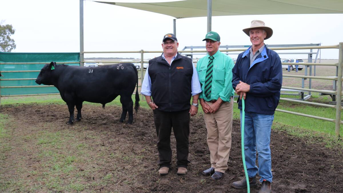 With the $27,500 top-priced bull sold on-property at Coonamble Angus last week were sponsor Ben Fletcher (left), Zoetis, Landmark Southern livestock manager Bob Pumphrey and Coonamble stud co-principal Murray Davis. The top-priced bull was bought by RF & RE Walker, Wilga.