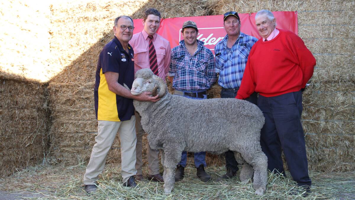 Prices topped at $5700 at the inaugural Cardiff Merino and Poll Merino on-property ram sale at Yorkrakine last Friday. With the top-priced ram were Cardiff stud principal Quentin Davies (left), Elders stud stock trainee Callum O'Neill, buyers Glenn and Wayne Smith, Wongamine Grazing Company, Northam and Elders Wyalkatchem agent Russell Wood.