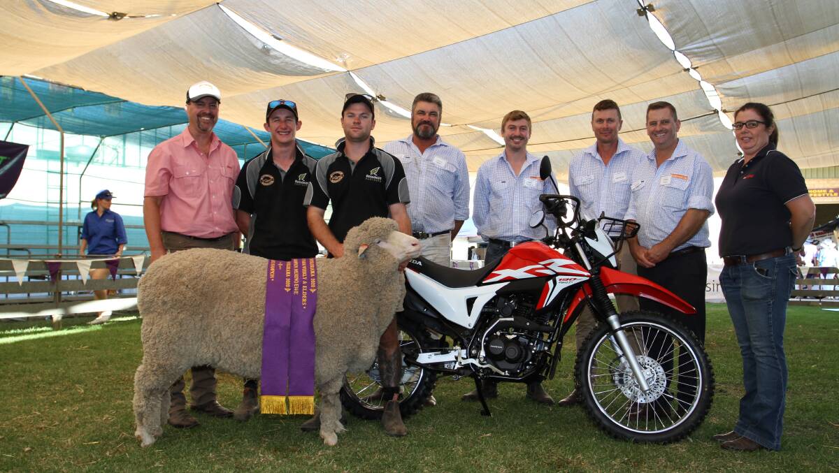  The Farm Weekly-Elders sponsored motorbike in the Merino section at the 2020 Make Smoking History Wagin Woolorama was won by the Crosby family, St Quentin Merino stud, Nyabing, when this ewe from the stud was sashed the supreme Merino exhibit.