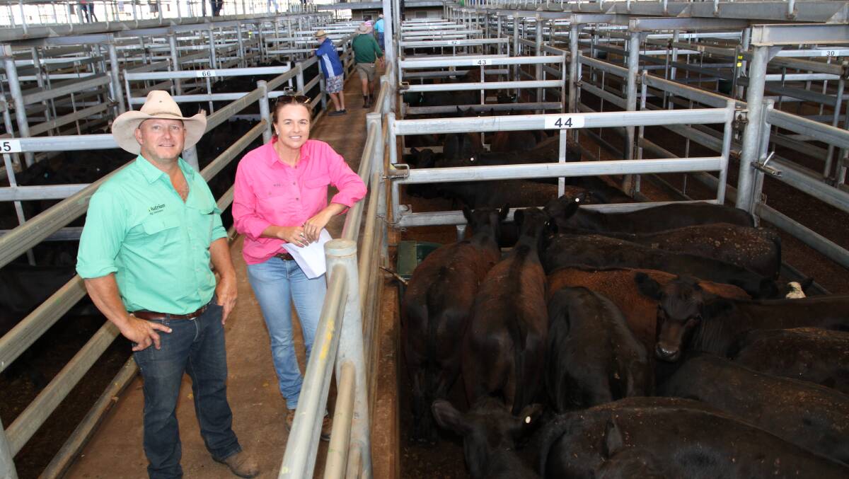  Nutrien Livestock Mid West agent Chad Smith (left) and vendor Sally OBrien, Gabyon Pastoral, Irwin, with some of Gabyon Pastorals Angus steers offered in the Black Friday feature Angus sale. Gabyon Pastoral was one the sales bigger vendors with its Angus, Charolais and Shorthorn cross weaners selling at the top-end of the market.