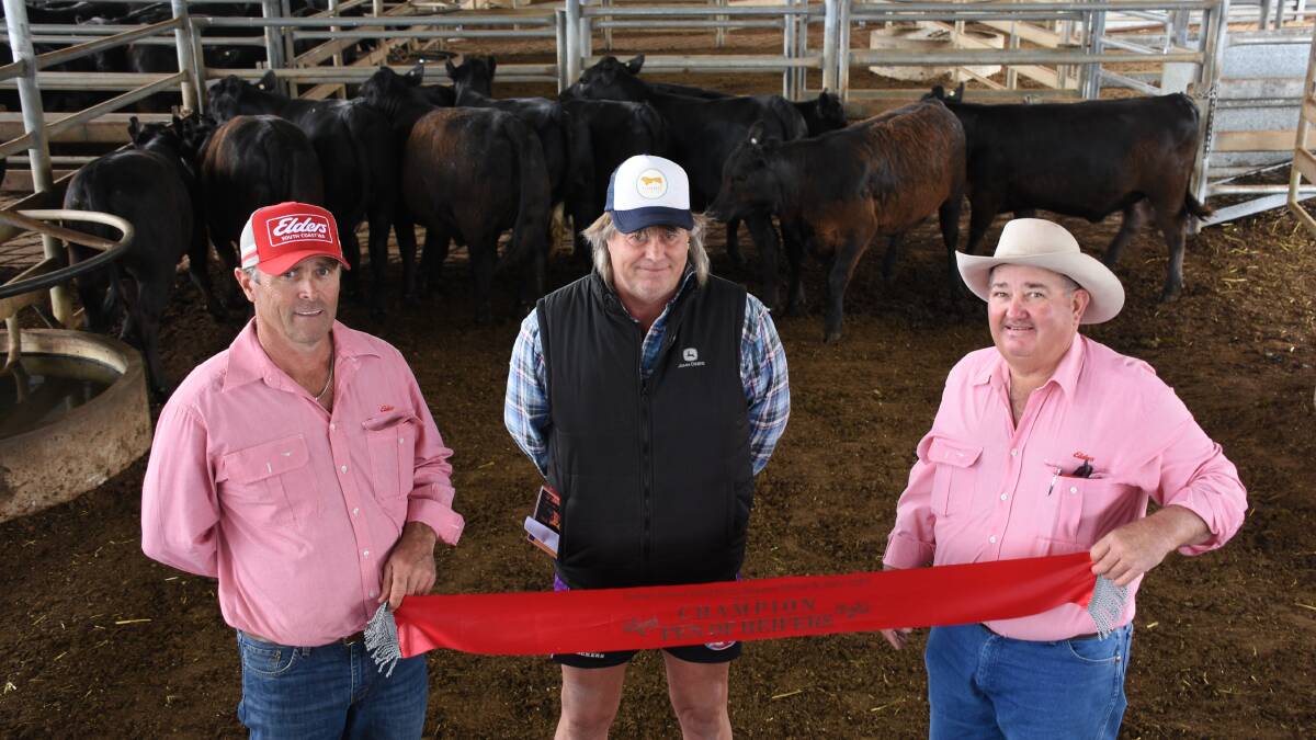 Wayne Matthews (centre), Kangarabbi Farms, Narrikup, was congratulated by Elders, Mt Barker representative Dean Wallinger (left) and Elders, Albany livestock manager and sale auctioneer Wayne Mitchell on offering the champion pen of heifers. The pen of 11 Black Gelbvieh-Angus heifers had an average weight of 391kg and sold at 398c/kg to return $1556 a head.