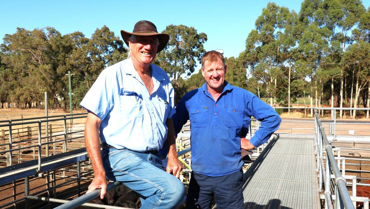 Gordon Atwell (left), Welldon Beef, Williams, discussed the weaner cattle yarding with Dean Taffe, Donnybrook, before last weeks sale.