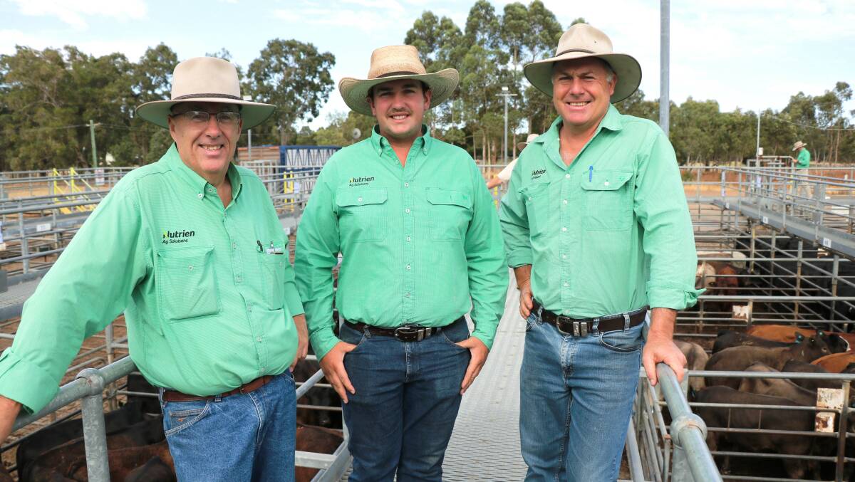 Inspecting the weaners on offer before the sale were Nutrien Livestock South West manager Mark McKay (left), trainee Thomas Spencer and Nutrien Livestock, Waroona agent Richard Pollock.