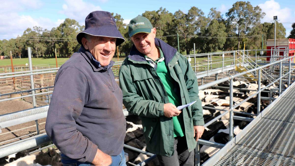  Bob Webster (left), Cowaramup, with Landmark Margaret River agent Jock Embry before the Landmark sale where the duo secured several pens of steers.