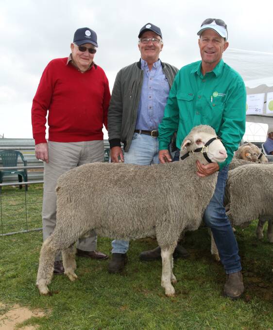 Buyers Peter (left) and Kit Anderson, Slabhut Grazing, Kojonup and Moojepin stud co-principal David Thompson, Katanning, with the ram purchased by Slabhut Grazing for $5000 at the Moojepin sale.