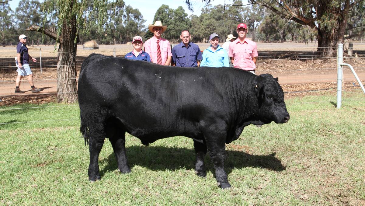 The Carroll family, Tirano Farms, Nannup, paid to the sales $19,000 third top price for one of two bulls. With their top purchase Bonnydale Element T149 (by Gibbs 3009A Element) were Paula (left), Michael (Elders South West livestock manager), Alf, Karen and Adrian Carroll (Elders rural real estate Bunbury).