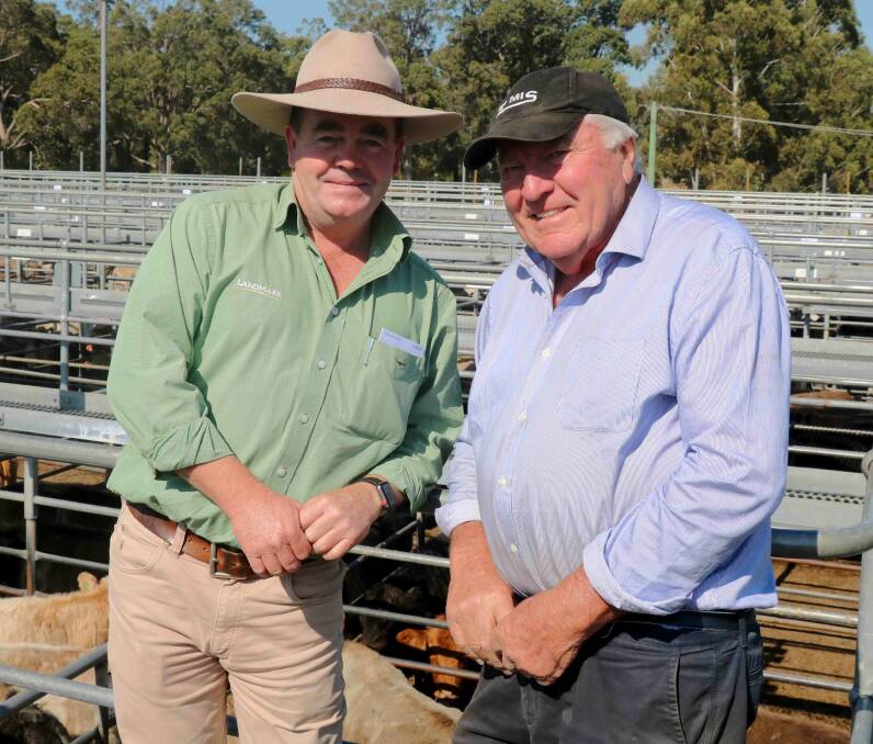 Jamie Abbs (left), Landmark Boyup Brook, with sale vendor John Goyder, Paradise Country, pictured before the Landmark store cattle sale at Boyanup last week. Mr Goyder sold Friesian steers early in the sale to a top of $1152.