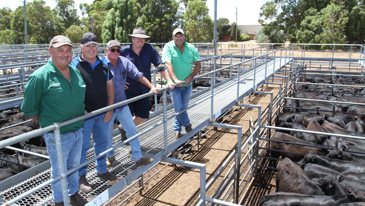 Murray River Farms, Waroona, were the volume vendor at the WALSA weaner cattle sale at Boyanup last week. Looking over the draft of 177 Angus steers which sold to 500c/kg and $1766 at the sale were Ralph Mosca (left), Nutrien Livestock, Harvey, with his clients Daryl Robinson, Andy Robertson, Craig Judd and Steve Smart, Murray River Farms.