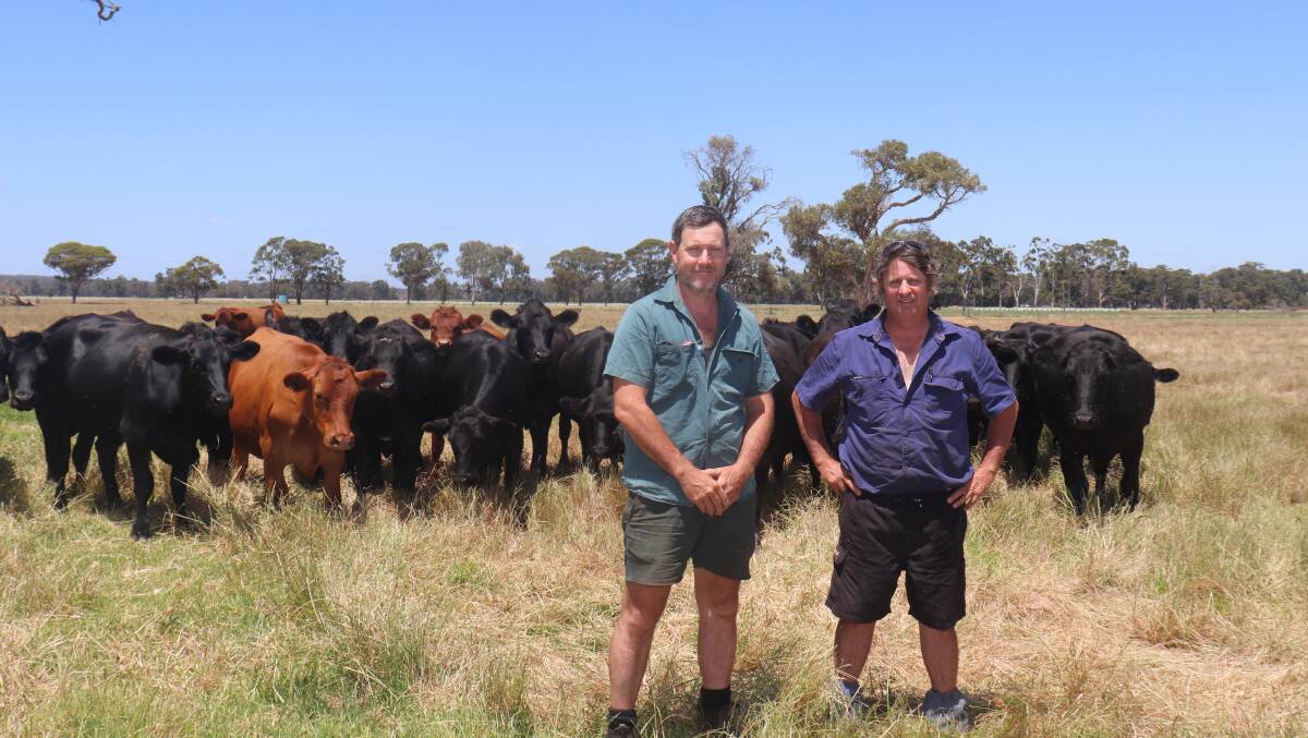 Casey (left) and his brother Luke Norton have been farming in the Capel area since they were born, although their family farming history at Capel dates back to the 1800s.