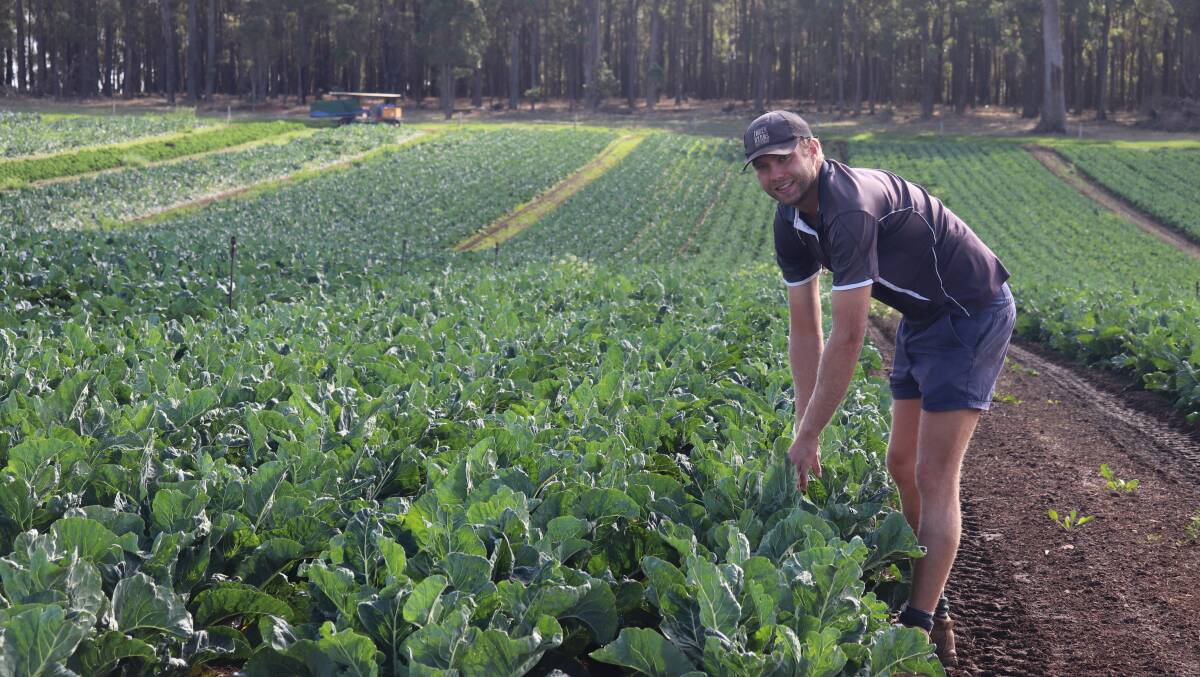 Jake Ryan checking their vegetable crop.