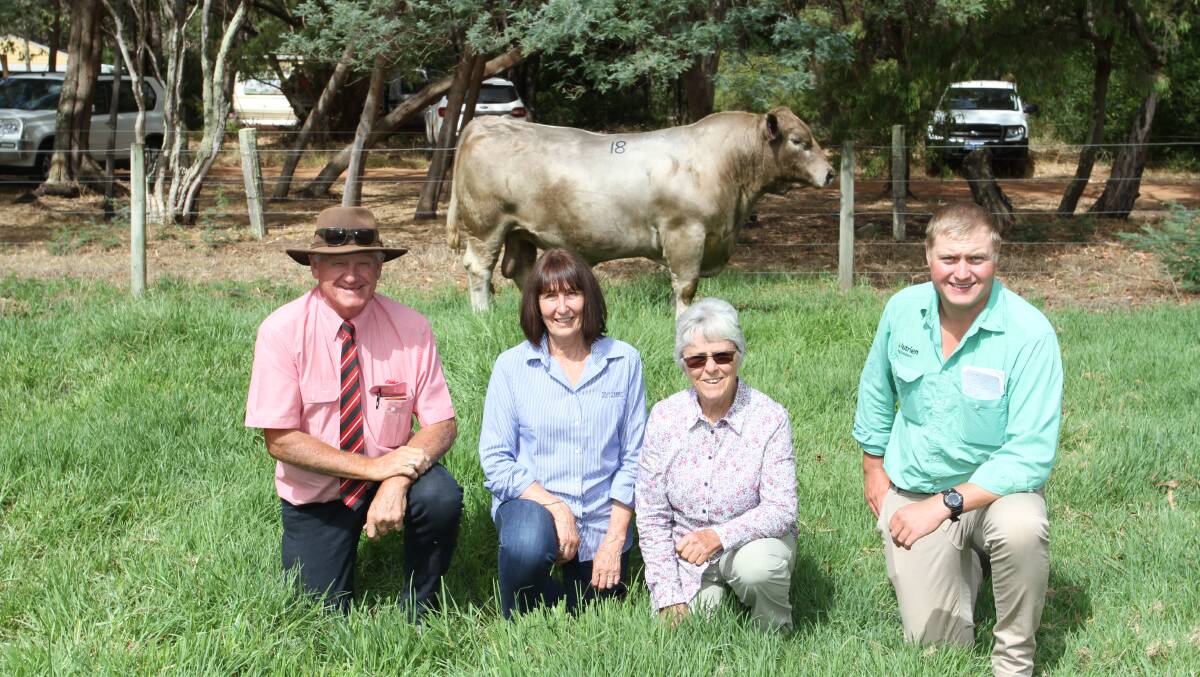 With the $15,000 equal top-priced Murray Grey bull Monterey Quicksilver Q152 (by Monterey Marvellous M130) at the 29th annual Monterey Murray Grey and Angus on-property bull sale at Karridale last week were Deane Allen (left), Elders Donnybrook and stud stock, Monterey stud co-principal Julie Buller, co-buyer Joan Monley, Jomal Glen Murray Grey stud, Toodyay and Laurence Grant, Nutrien Livestock Manjimup, who was forwarding the AuctionsPlus bids from Donald Monley, Jomal Glen stud, Gidginbung, New South Wales.