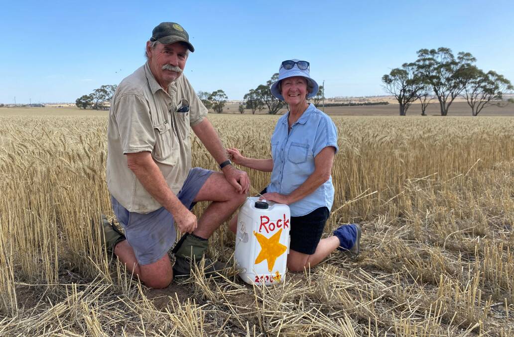 Dennis and Kathy Saunders sowed 60 kilograms a hectare of InterGrain's RockStar wheat on their Southern Brook farm last year.