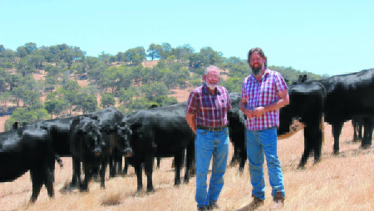 Ian and his son Glenn run the beef business, which is largely based on a breeding herd of first and second cross Angus-Friesians.