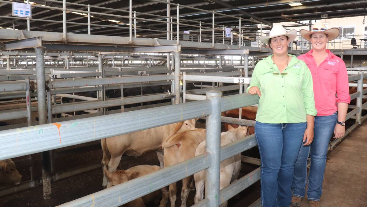 Morgan (left) and Jess Yost, Liberty Charolais stud, Toodyay, looking over their cattle offered in the AWN Livestock 21st annual Pinjarra and Districts Weaner Sale at the Muchea Livestock Centre.
