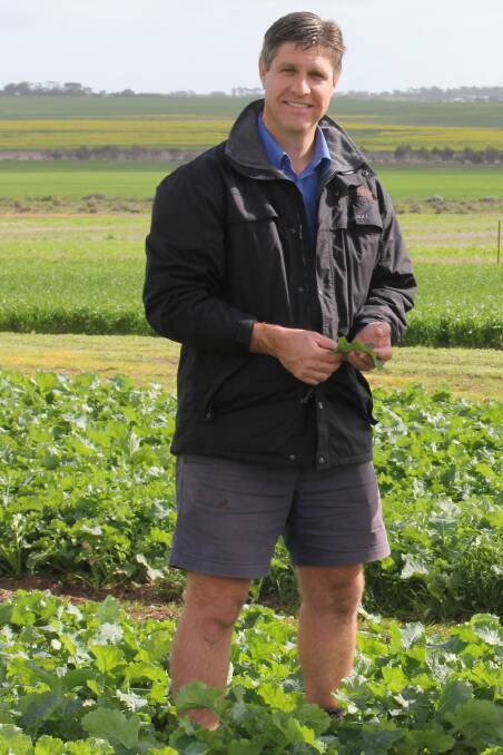 Australian Herbicide Resistance Initiative (AHRI) research agronomist Mike Ashworth.