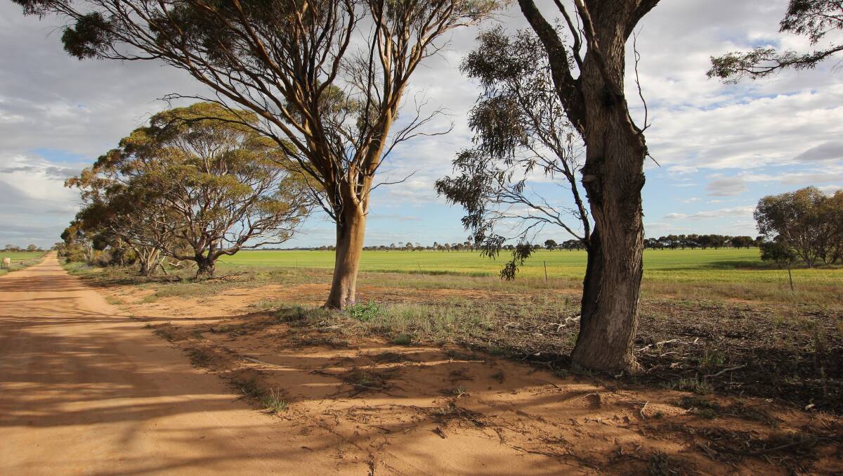 Great investment in eastern Wheatbelt
