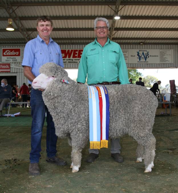 With the reserve grand champion Poll Merino ram and champion medium wool Poll Merino ram exhibited by the Westerdale stud, McAlinden, were stud principal Peter Jackson (left) and reserve grand champion sponsor Peter Moore, Scanwest Livestock, Williams.