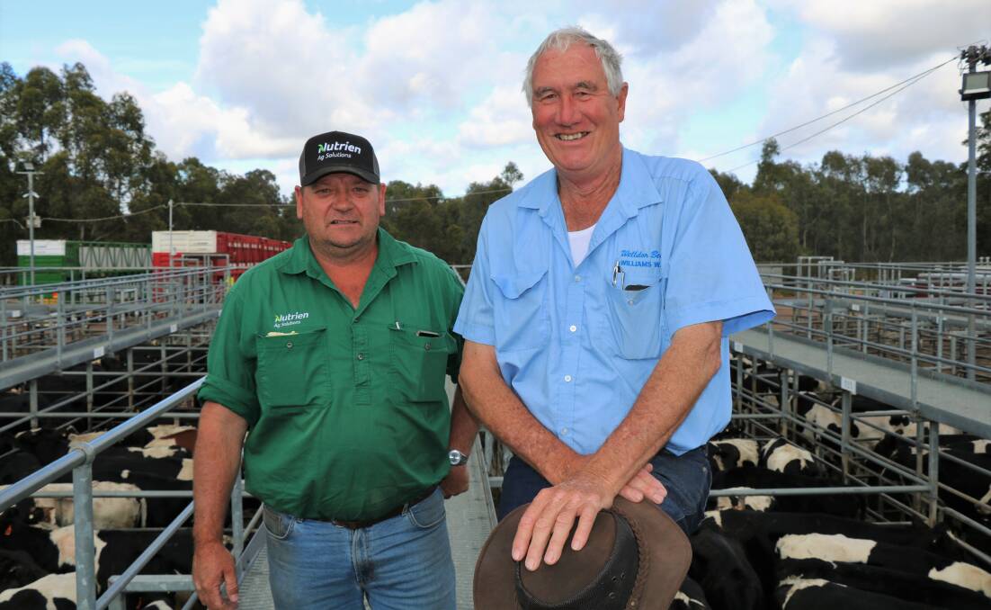 Nutrien Livestock, Manjimup representative Brett Chatley (left) discussed the current market with lotfeeder Gordon Atwell, Welldon Beef, Williams, at the Boyanup sale where Mr Atwell was a dominant buyer.
