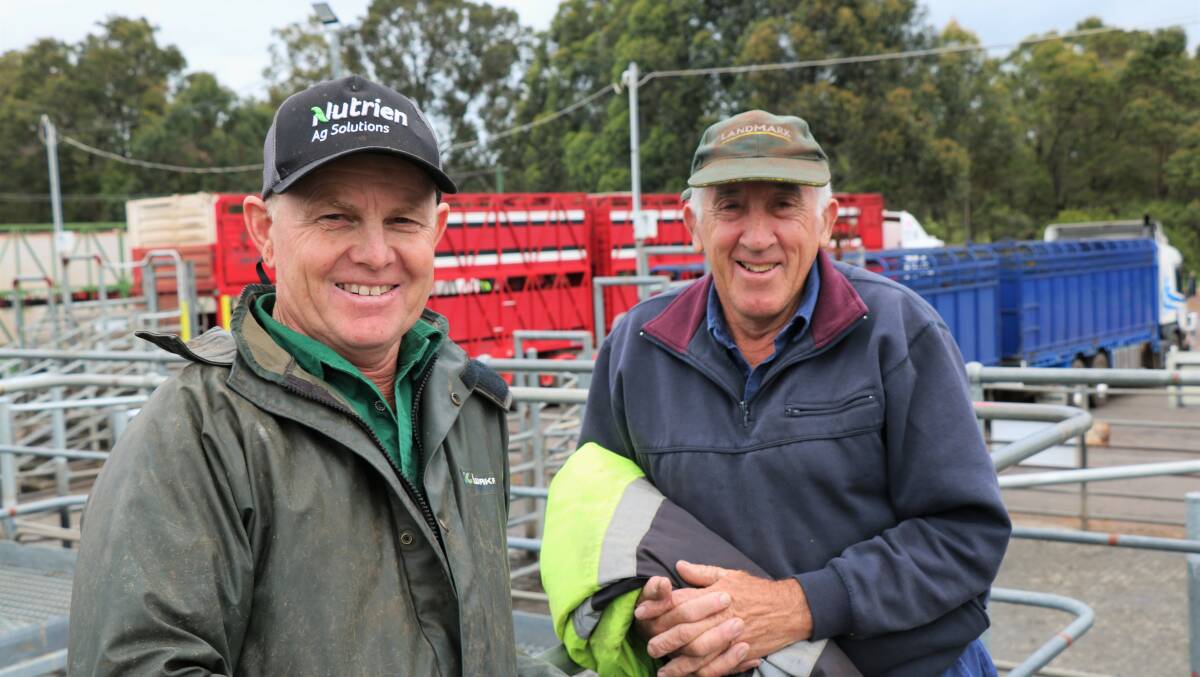 Jock Embry (left), Nutrien Livestock, Margaret River, bought numerous pens of cattle for clients at the Boyanup sale including for Bob Webster, Cowaramup.