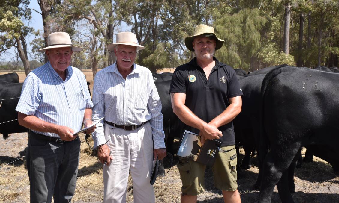 Neale Foale (left), Boyanup, with Steve Jackson, Boyup Brook, and Brad Telini, Ferguson Valley. Mr Telini paid $6750 for a bull at the Little Meadows sale last week at Dardanup.