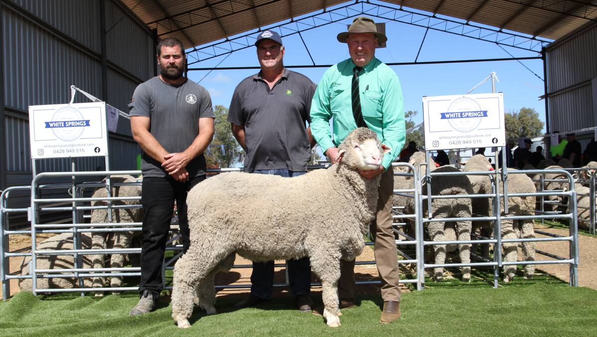 With the $3000 top-priced ram at the inaugural White Springs Poll Merino on-property ram sale at Calingiri on Monday were buyer Corey Glass (left), Fenwick Farms Suffolk and White Suffolk studs, Calingiri, White Springs stud co-principal Dan King and sale auctioneer Grant Lupton, Nutrien Livestock, Wongan Hills.