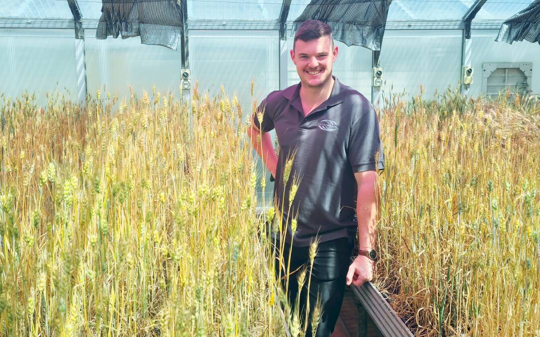  InterGrain's new early generation wheat breeder Calum Watt.