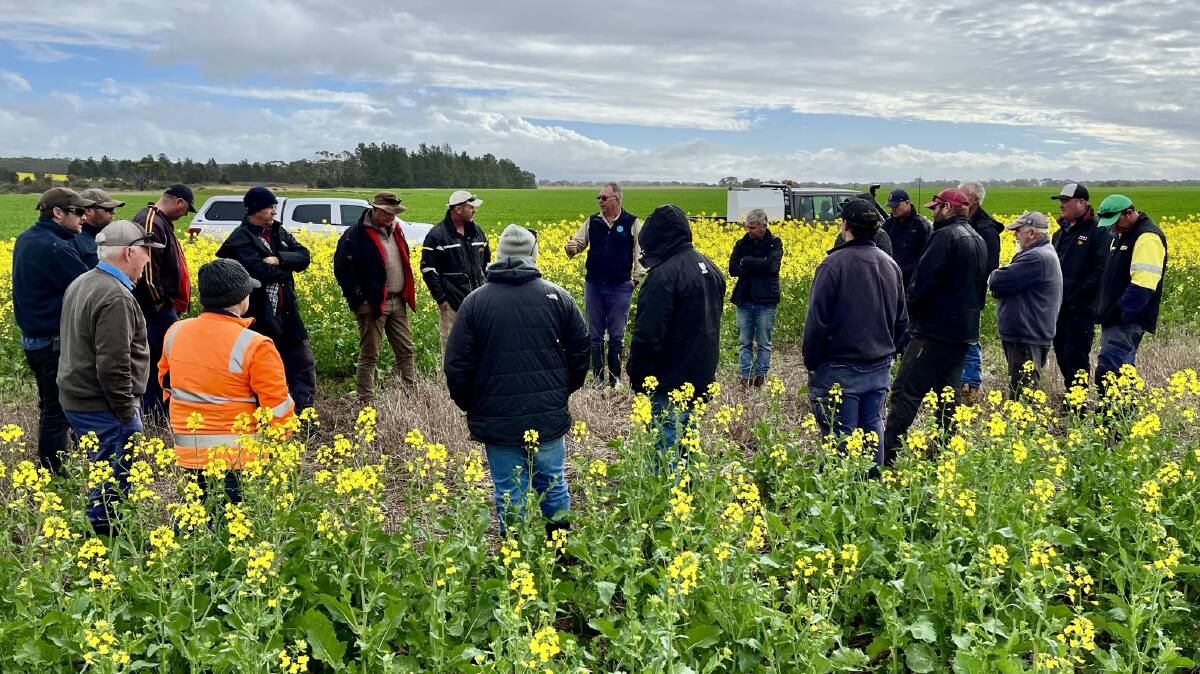A series of in-paddock workshops with Steve Henry, leading mouse expert and research officer, CSIRO, were held in 11 locations across four days as part of a GRDC investment addressing increased mouse activity in WAs grainbelt. Photos by GRDC.