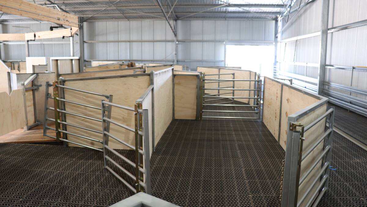 Filling and laneway pens behind the board showing the multidirectional grate flooring made from recycled plastic.