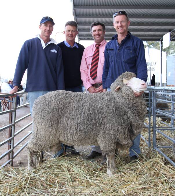 The $5000 top-priced ram at the Angenup stud's 42nd annual on-property ram sale at Kojonup on Monday was purchased by JR & G Schinzig & Sons, Moodiarrup. With the top-priced Poll Merino ram were buyers Mark (left) and Richard (right) Schinzig, Angenup stud co-principal Gavin Norrish and Elders Kojonup agent Jamie Hart.