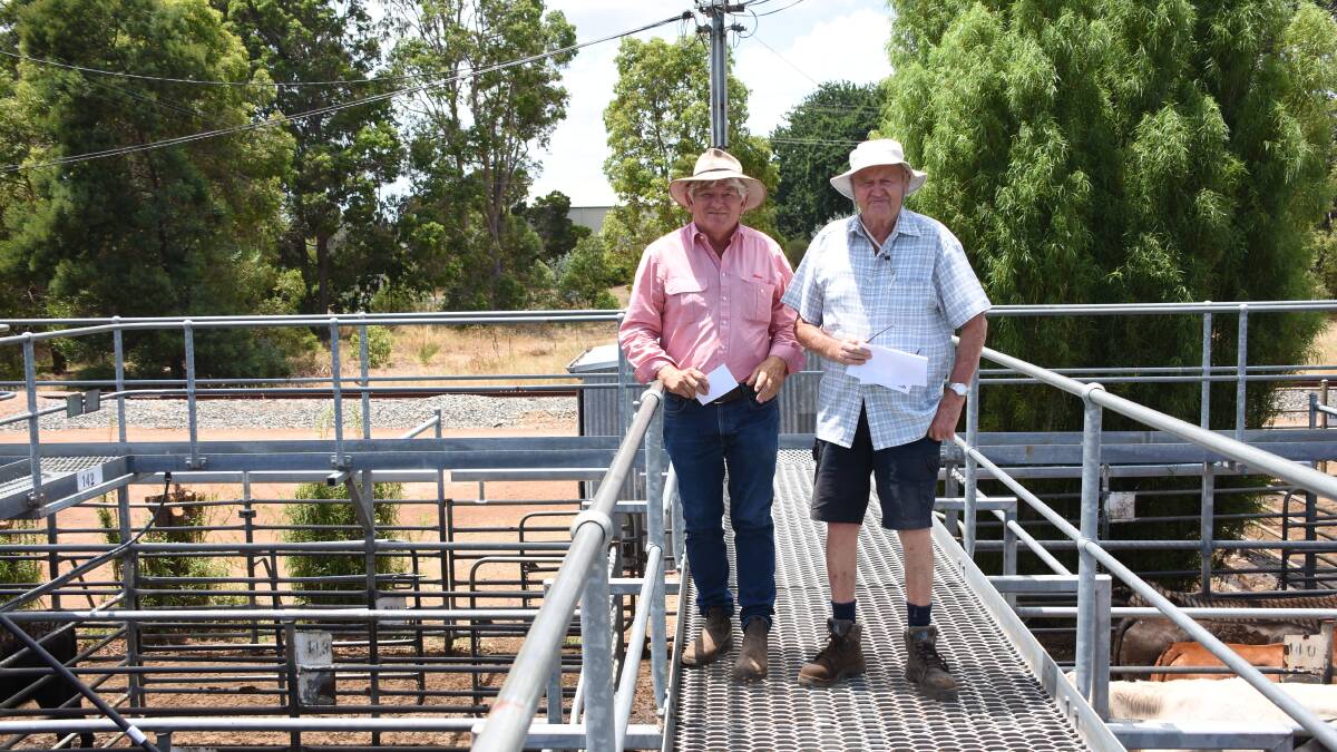 Elders, Williams agent Graeme Alexander (left), was on the rails before the sale with vendor Merv Wunnenberg, Roemarie Enterprises, Darkan. The Wunnenberg family sold 37 Simmental cross steers and heifers in the sale, which sold to a top of $1591 for a pen of 12 steers.