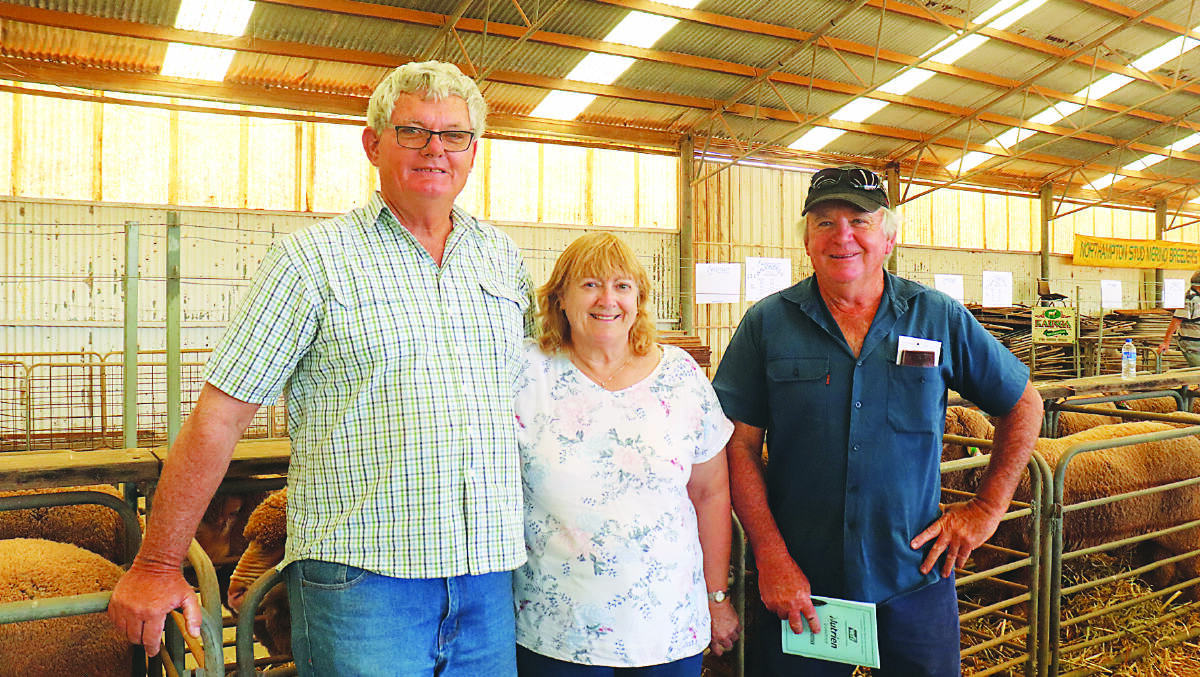 Ron (left) and Anne Box, Northampton and Alan Sucking, Northampton, inspected the rams on display prior to the sale.