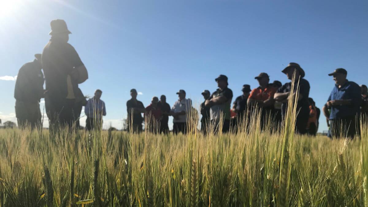 GRDC senior regional manager  west, Peter Bird was one of the GRDC staff members to attend the GGA frost workshop at Nungarin recently. Photo by GRDC.