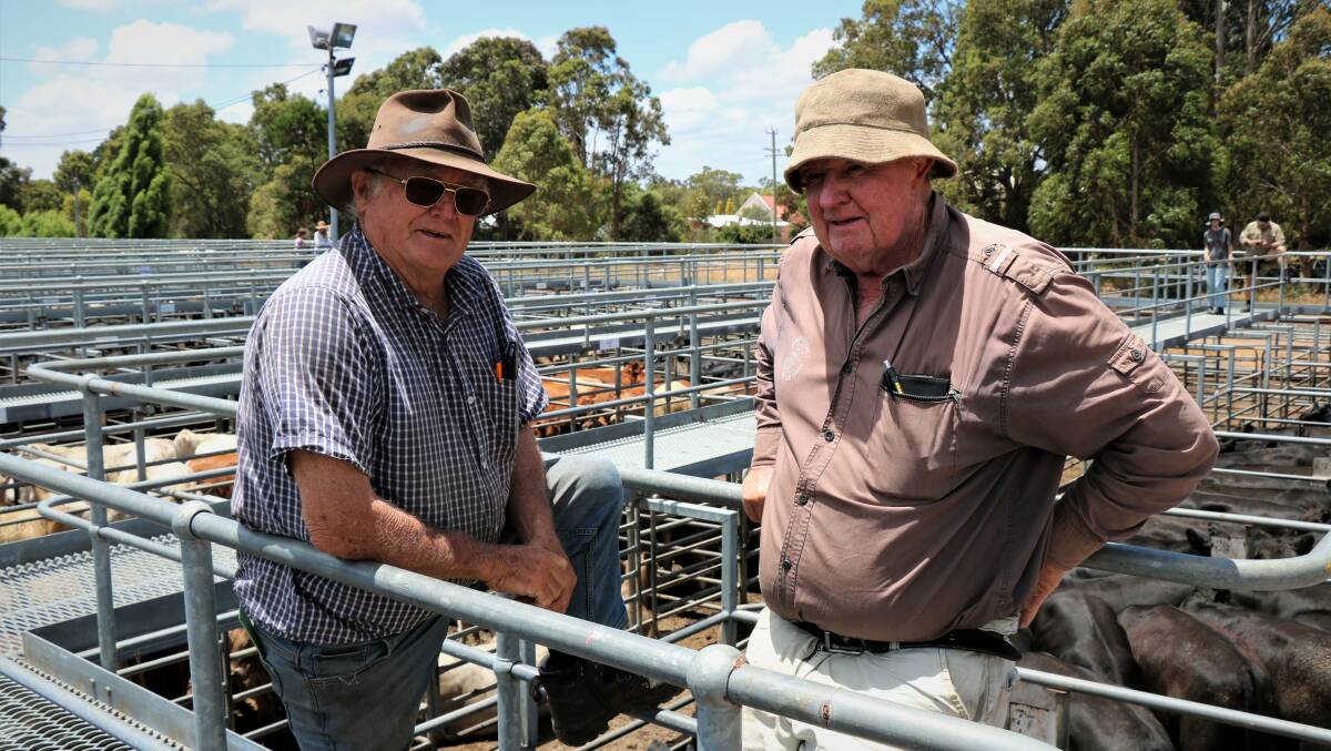 Geoff Willis (left), Capel and Robin King, Busselton, enjoyed a catch up at the Elders sale where Mr Willis bought a pen of cattle.