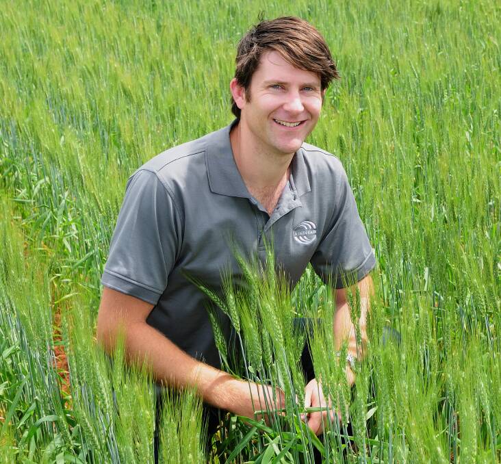 InterGrain senior wheat breeder Dr Dan Mullan was part of a recent webinar targeting Chinese millers and noodle manufacturers.