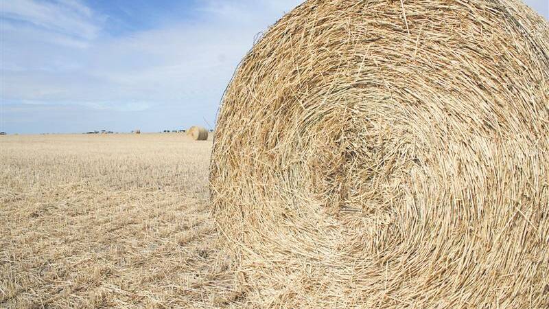 Plans underway for WA pastoral hay run