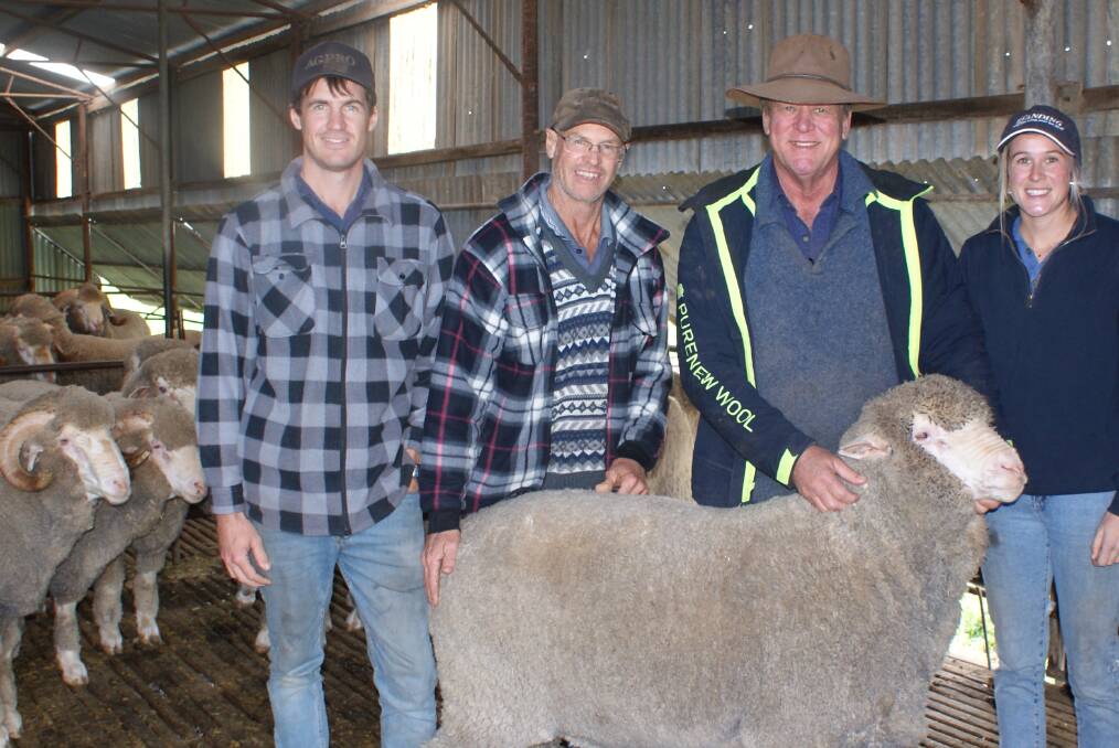 Yleena Farm principals Peter (left) and Darrel Hudson, Dowerin, inspect Ejanding Merino rams with Ejanding stud principal Brett Jones and his daughter Shanae. The Hudsons won the WAMMCO Producer of the Month award for June.