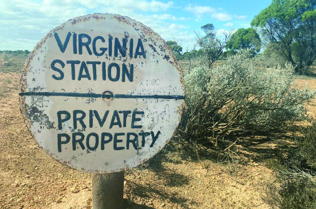 Virginia station was first established in the 1960s. Mr Swann has been developing the 259,000 hectare property with dam and bore sites since 2005.