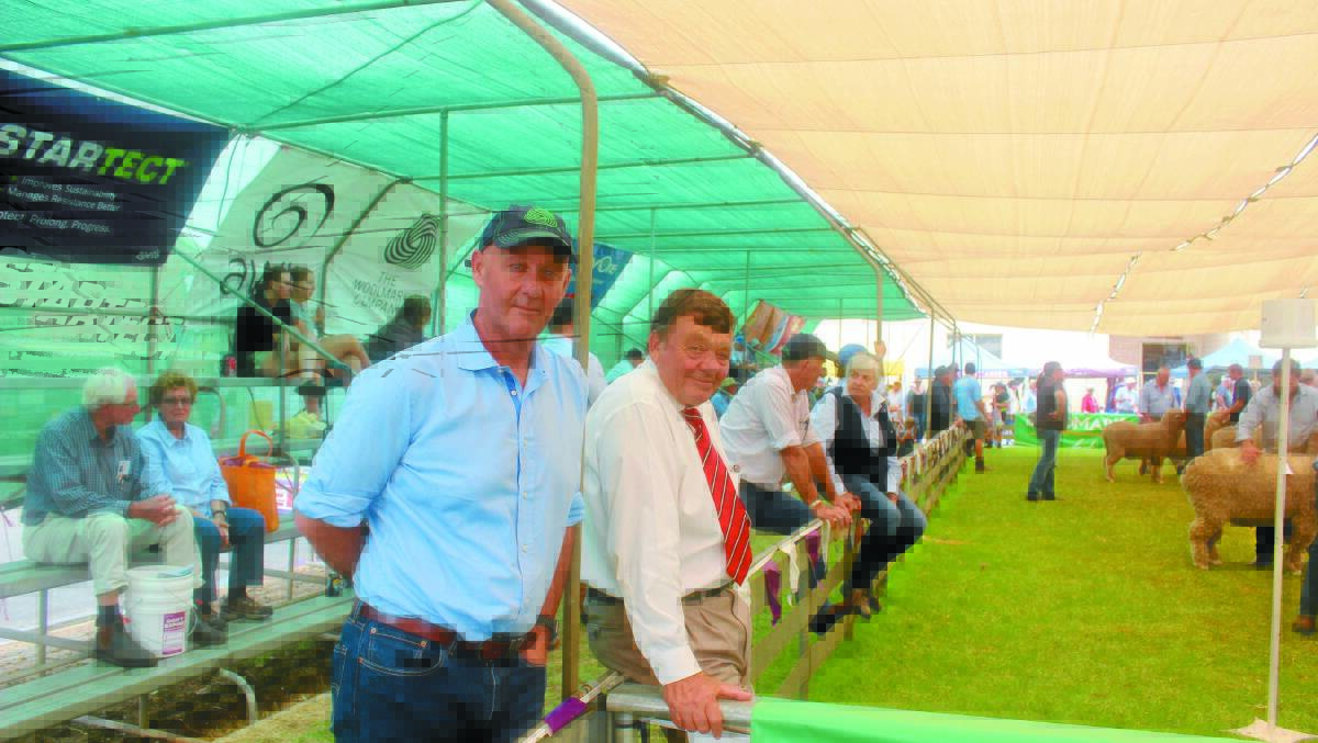 \Australian Wool Innovation was well represented at Woolorama with chief executive officer Stuart McCullough (left) and director and former chairman Wal Merriman pictured here watching the Merino judging.