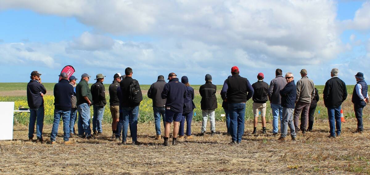 Tours provided grower updates in Mid West