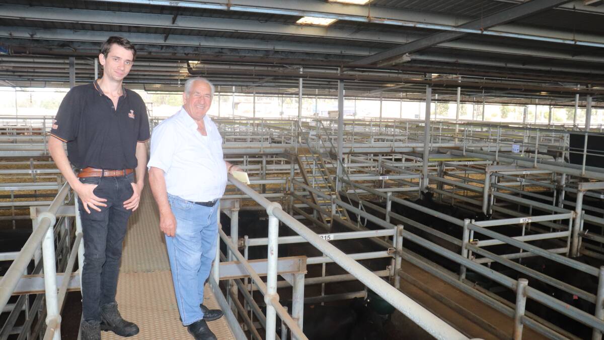 First year apprentice Jack Mouchemore (left) and owner Michael Princi, M Princi Butchers, North Perth, at the sale where Mr Princi bought a total of 26 heifers and 10 steers to an overall average of $1486.