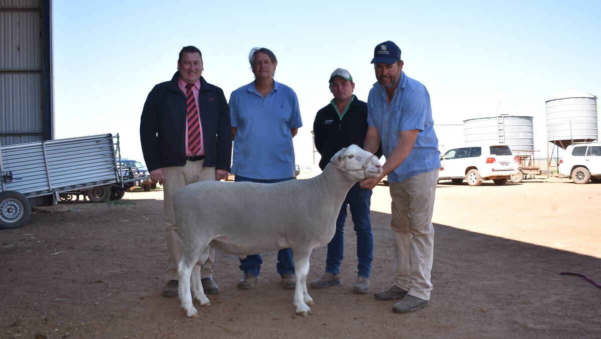 Elders stud stock manager Tim Spicer (left), buyers Kelly Gooch and father Ross Taylor, Tiarri Prime SAMM stud, Lake Grace, Nutrien Livestock Kojonup agent Troy Hornby and Shirlee Downs and Dongadilling studs co-principal Sascha Squiers, with the $4000 top-priced stud Prime SAMM sire.