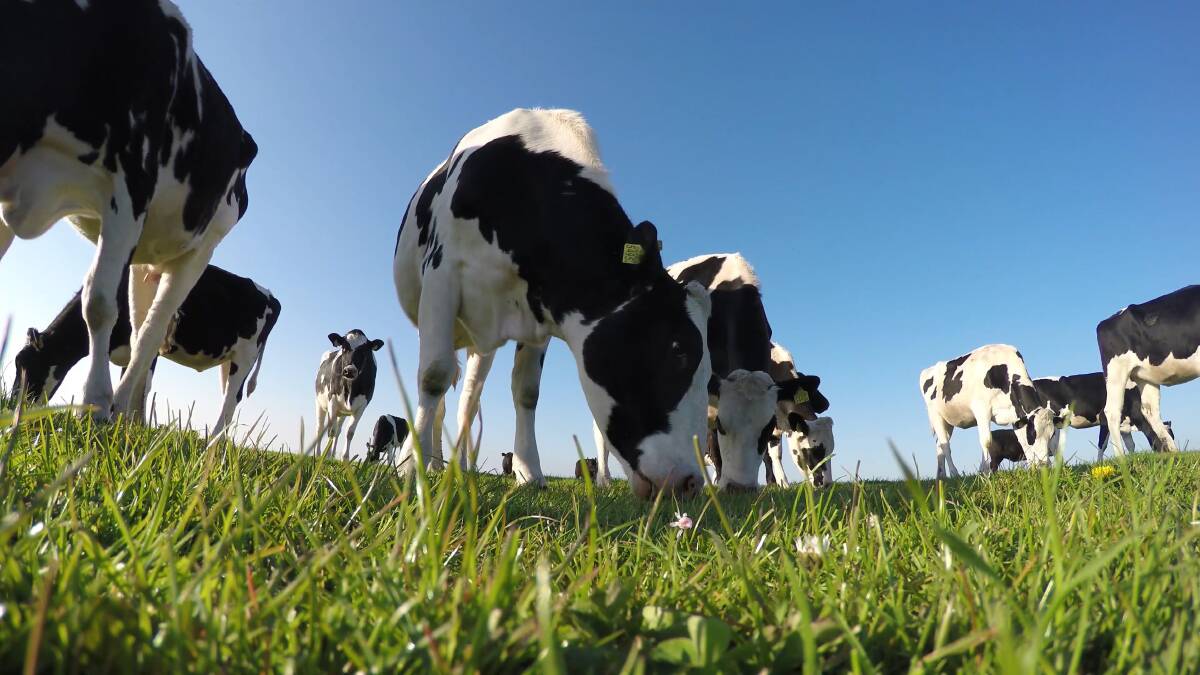 Dairy farmers now have access to a new business calculator to help them manage their budgets.