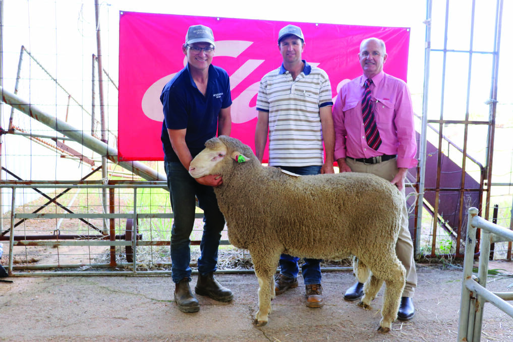  Seven Oaks South principal Matt Barnett (left), Burracoppin, with top-priced buyer Gabyon Pastoral Co principal Andrew Gillam, Dongara and Elders Merredin branch manager Andrew Peters. The ram was the third offered in the sale and topped at $3900. Gabyon Pastoral Co has been a top buyer at the annual sale over the years last year purchasing the top ram for $5100.